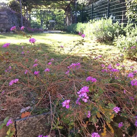 Country House * Celle Ligure